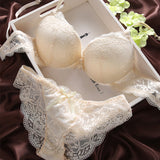 Sexy Lace Bra Set Women Underwear Set Push Up Bra Set Sexy Lcae Briefs Lingerie 3/4 Cup 70B 75B 80ABC